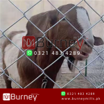 Chain Link Fence Roll - Image 4