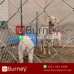 Chain Link Fence Roll - Image 2