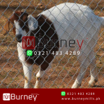 Galvanized Chain Link Fence - Image 2