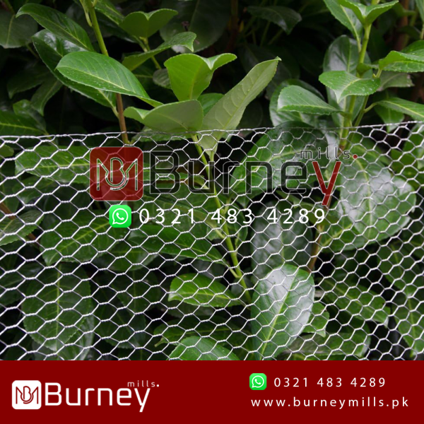Hexagonal (Chicken) Wire Mesh